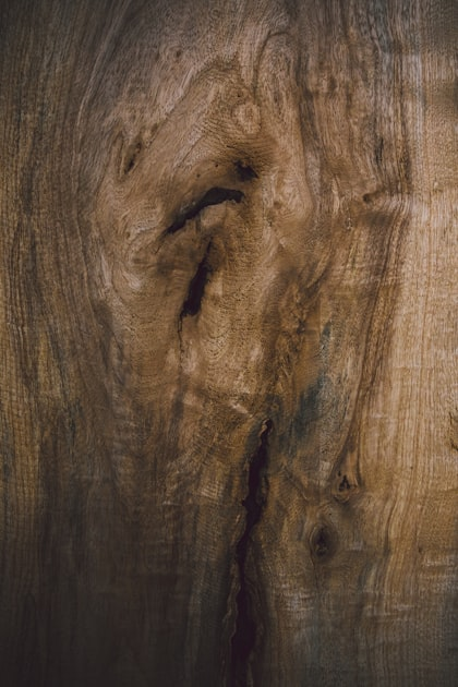 The Art of Woodworking