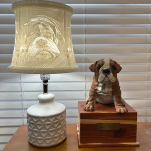 Pet Portrait Lampshade