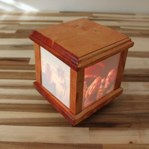 Lighted Memory Box